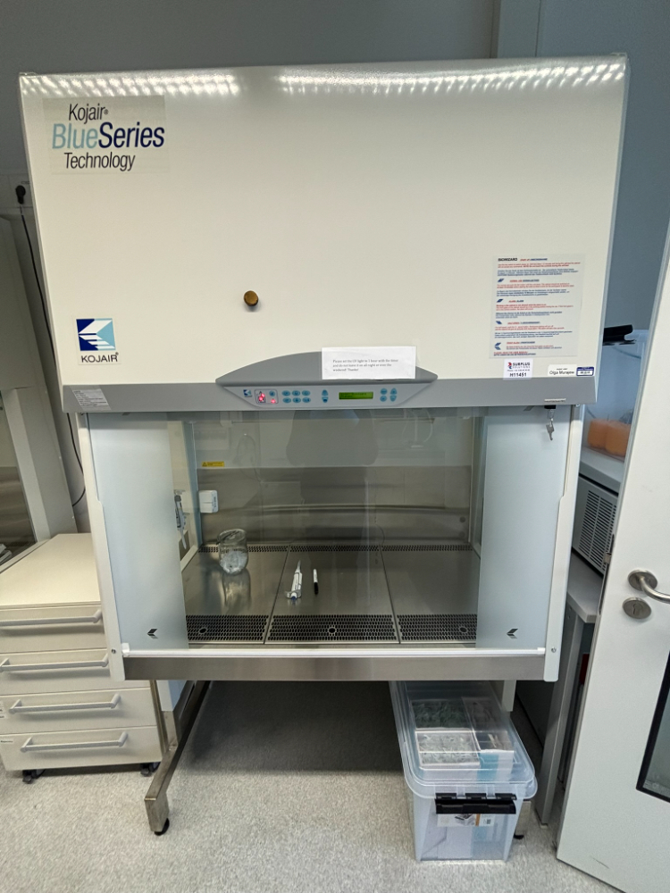 Image of Kojair BioWizard Silver SL-130 Blue Series Class II Biosafety Cabinet